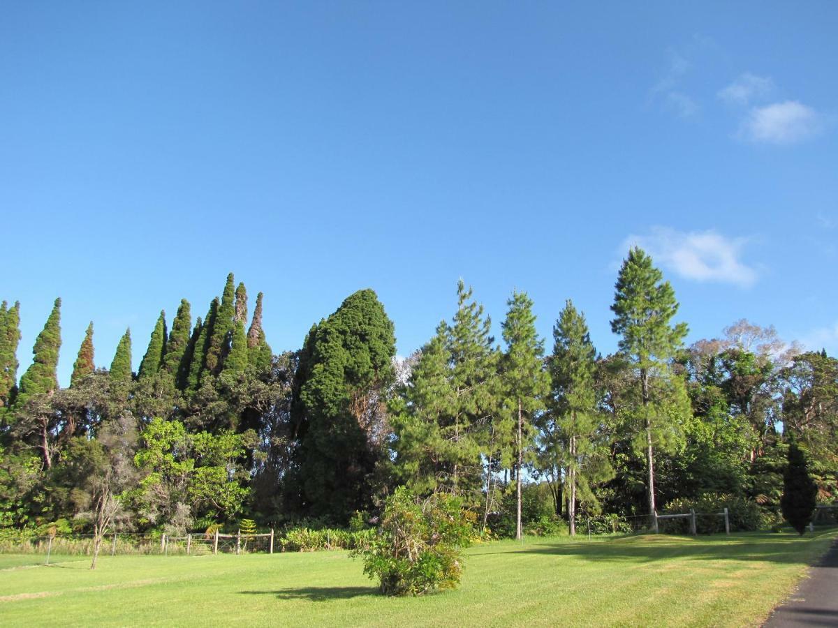 At The End Of The Road Bed And Breakfast Volcano Extérieur photo